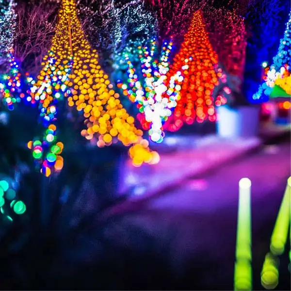 Event Lighting Hire
